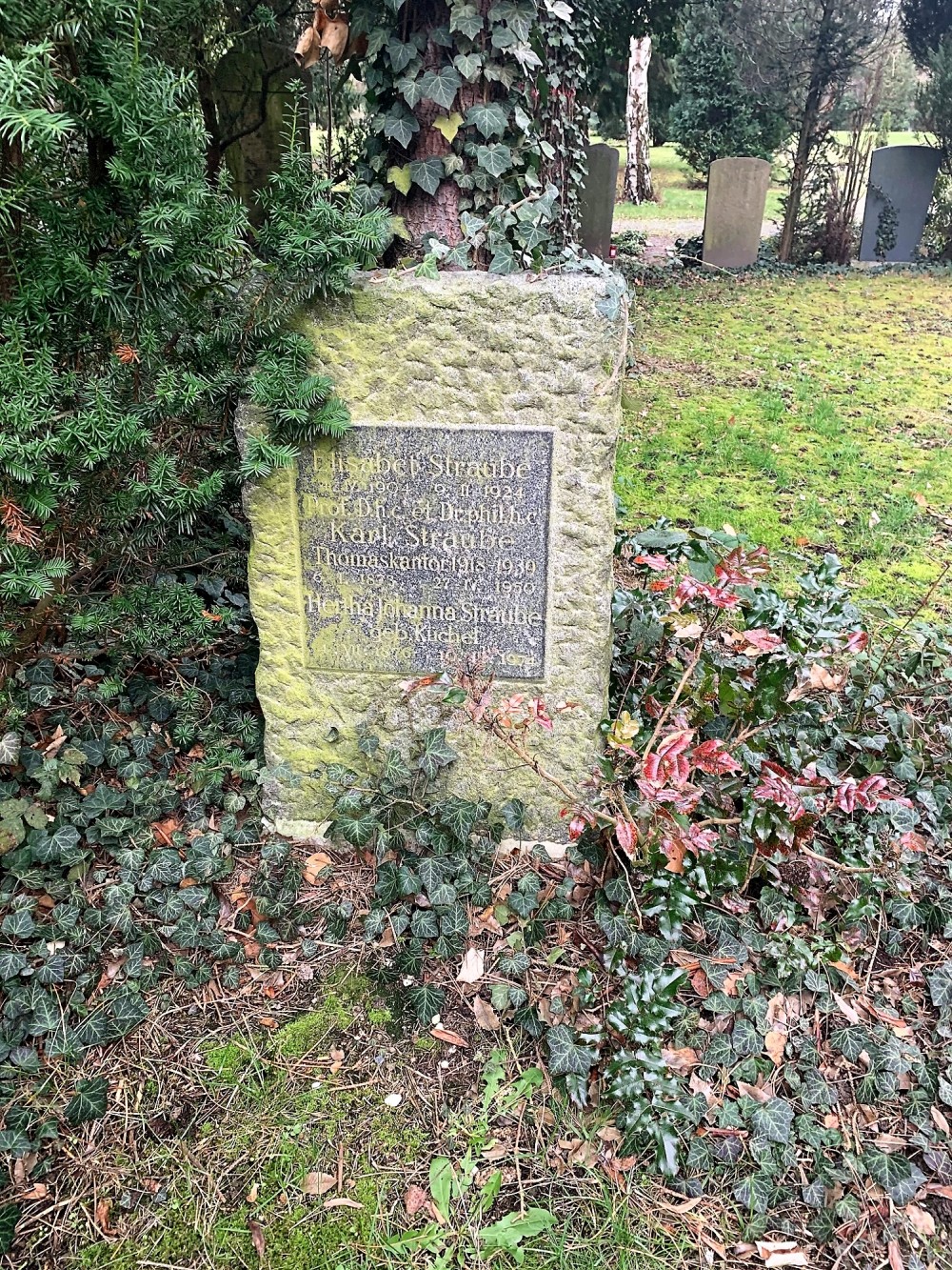 Stein Schneider Rekonstruktion und Restaurierung