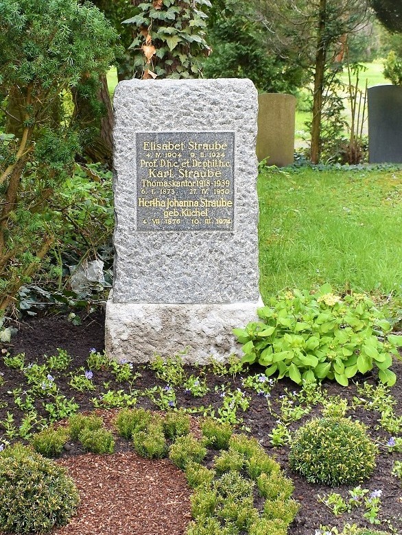 Stein Schneider Rekonstruktion und Restaurierung